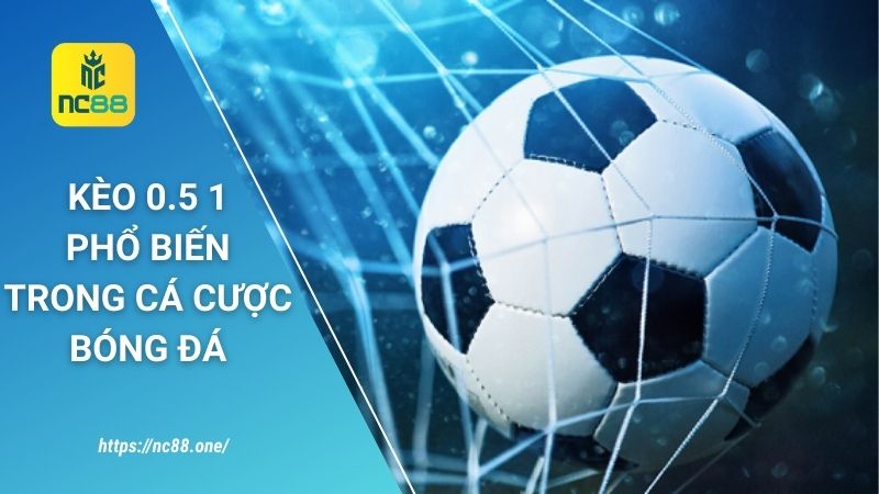 Cách chơi kèo 0.5 1 và kinh nghiệm hay từ các cao thủ